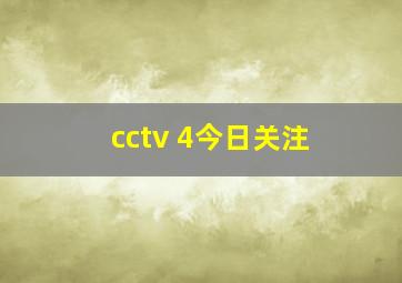 cctv 4今日关注